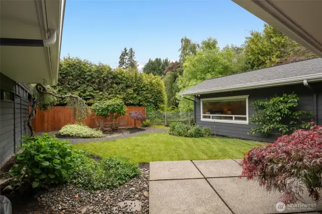 Side Yard South