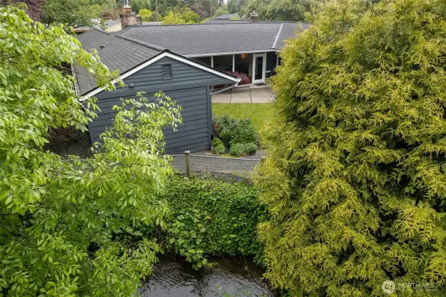 McAleer Creek - Side Yard South