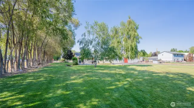 Low maintenance lawn with UGS