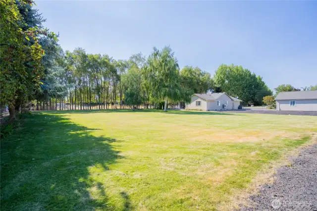 Low maintenance lawn with UGS