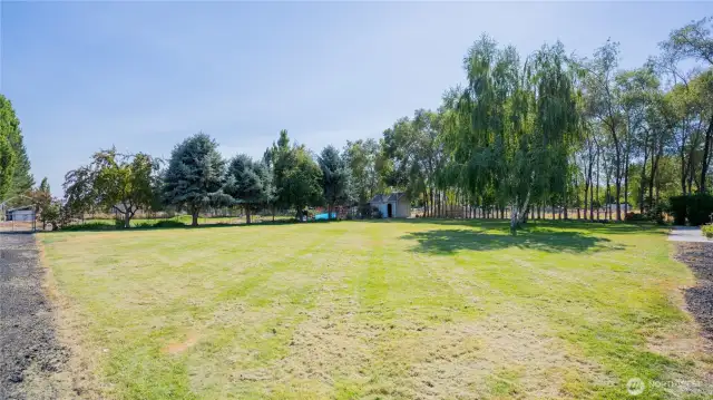 Low maintenance lawn with UGS