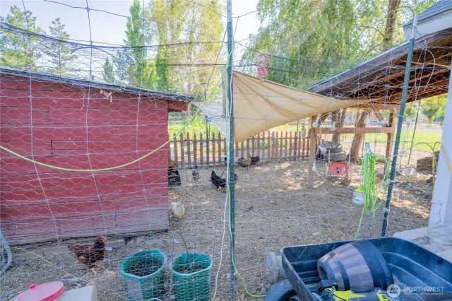 Chicken coop and run included