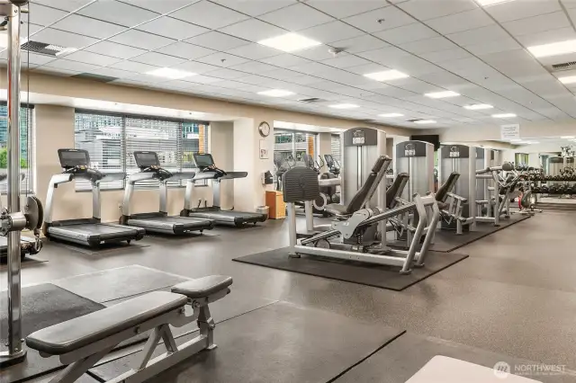The fitness center is much more expansive than most condo complexes.