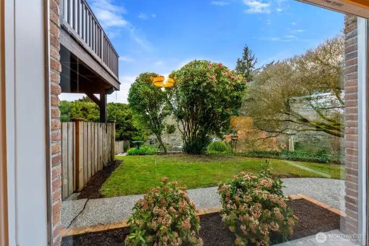 Looking out the lower living room window into the backyard