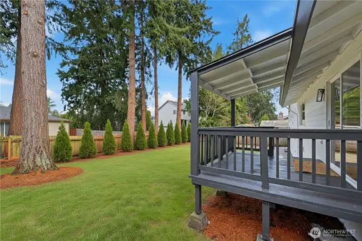 Virtually staged arborvitae trees. Virtually enhanced grass.