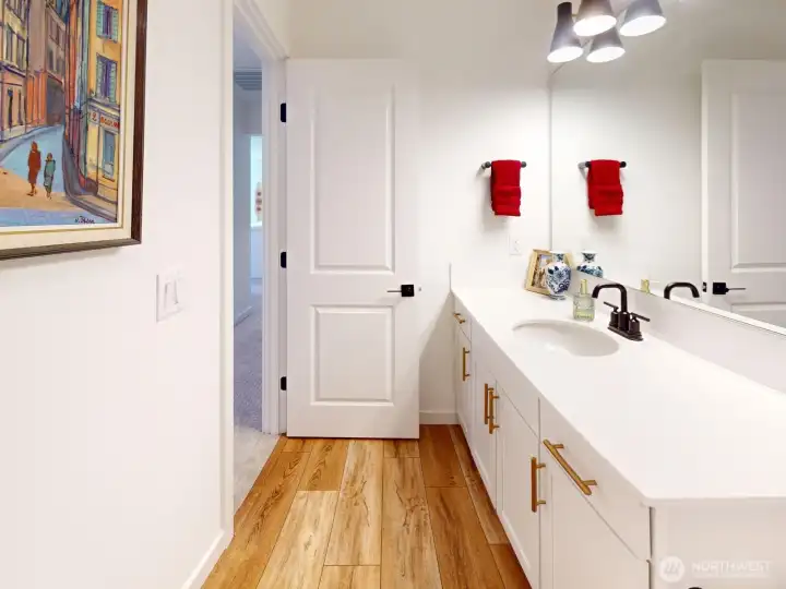 Another view of the hall/guest bathroom.
