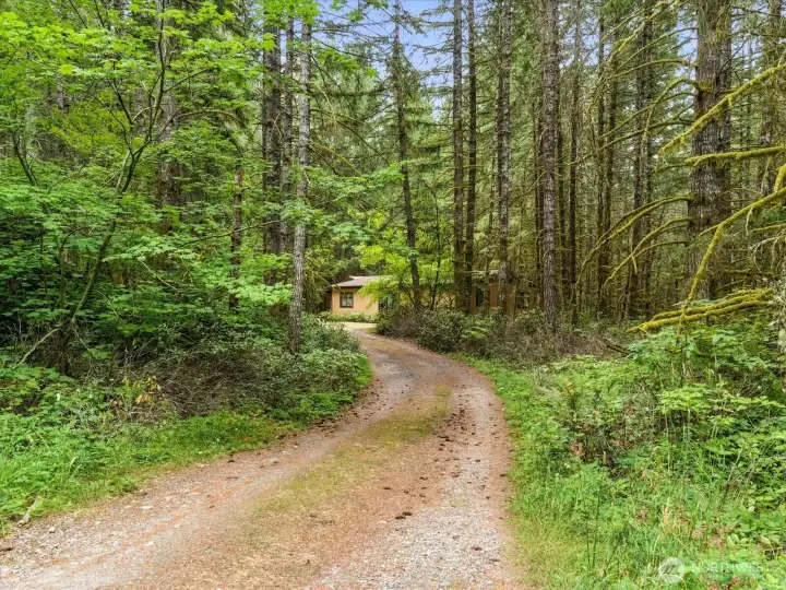 Driveway leading to SCU