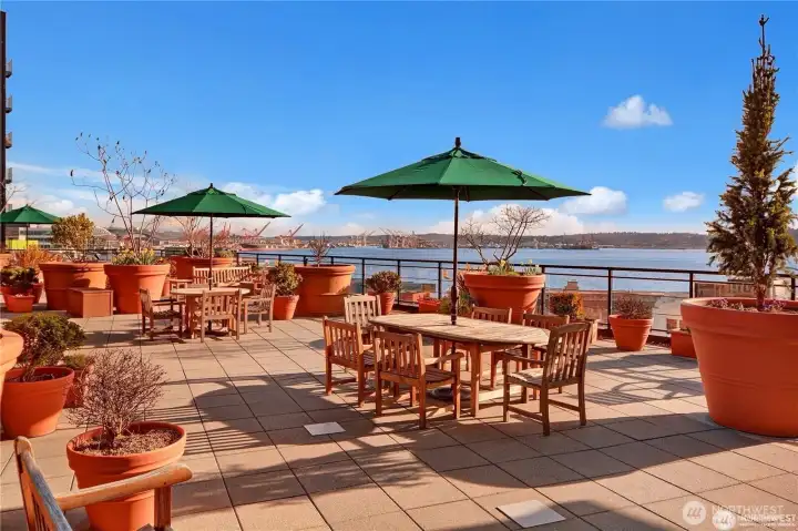 The terrace during the summer sun season