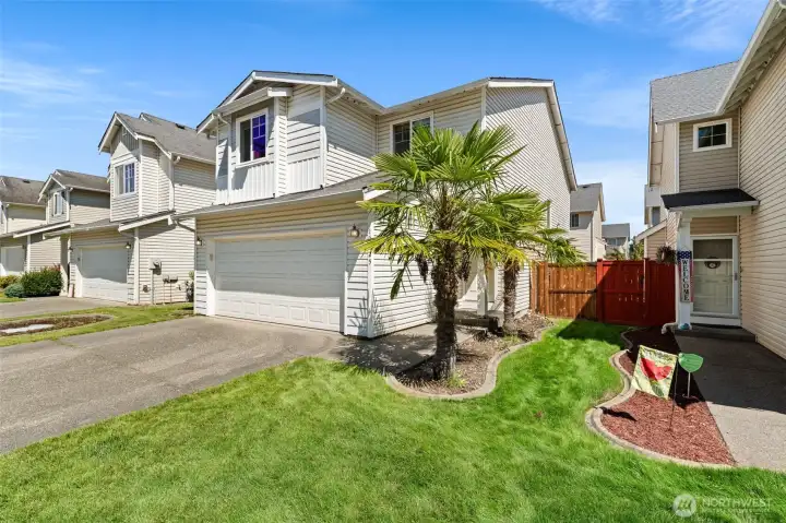 Front yard