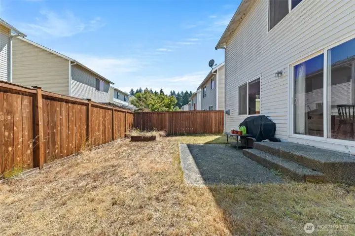 Backyard