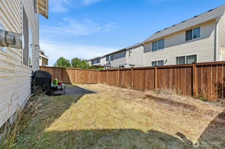 Backyard