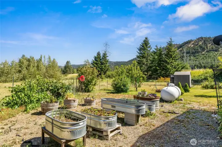 Backyard space