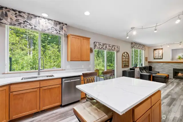 Sellers enlarged the Kitchen Island with quartz countertop! Single kitchen sink basin with contemporary faucet! Look at the lush views from the kitchen and family room.  Enjoy the hummingbirds and birds singing and playing!
