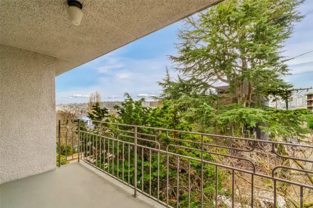 Come relax on your balcony with peak a boo view of South Lake Union