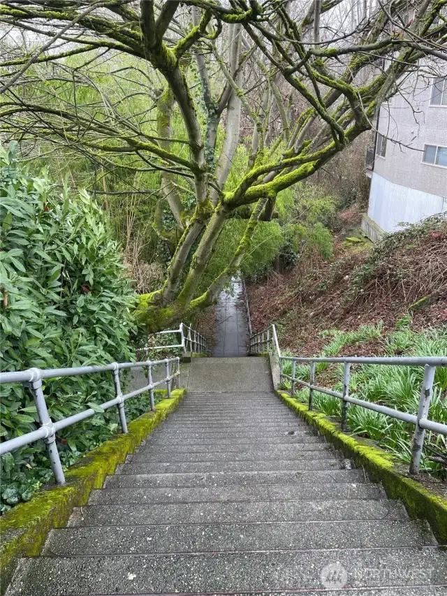 Stair path takes you straight down to the boat launch