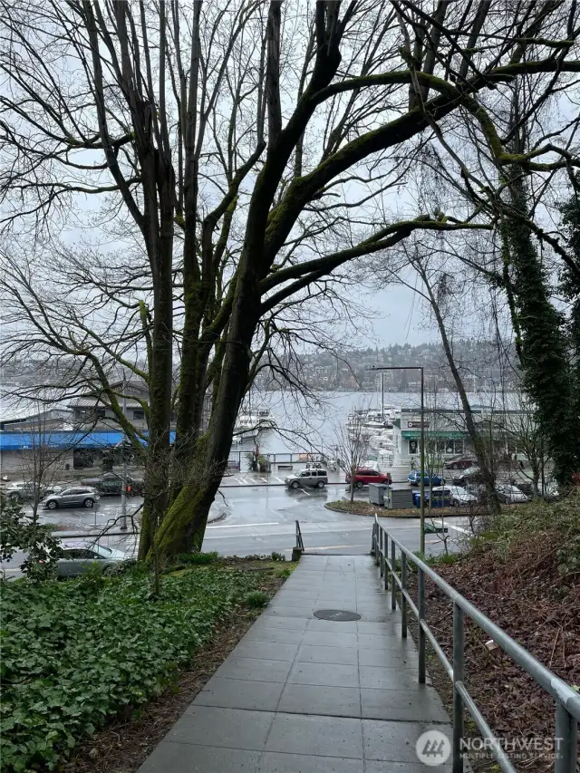Stair path takes you straight down to the boat launch