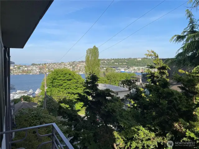Spring time view