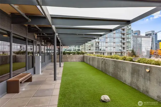 Pet Area