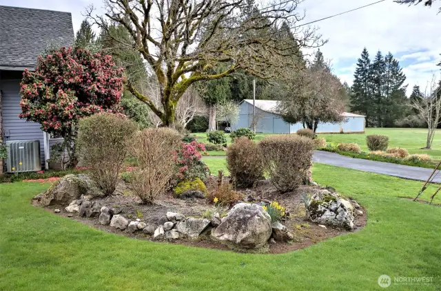 More lovely landscaping...