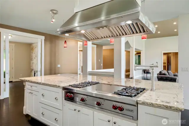 Wolf gas range with griddle