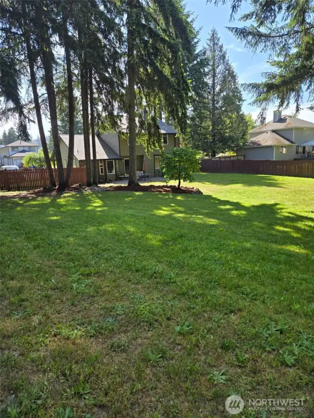 Enjoy a sprawling, fully fenced backyard with open green space and mature trees. Whether it’s for play, gardening, or entertaining, this yard offers endless possibilities for outdoor enjoyment.