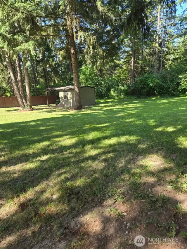 Spacious backyard surrounded by towering evergreens offers both privacy and serenity. Includes a well-maintained storage shed and ample grassy area—perfect for pets, gardening, or a future playset.