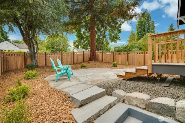 Let's check out the back yard!