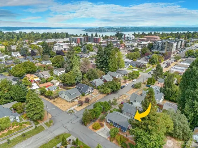 Just two blocks from the vibrant Proctor District and many favorite shops, eateries, and cherished local businesses, including the Blue Mouse Theater, Chalet Bowl, Peak & Pints, and Olympia Coffee Roasting—plus the Saturday Proctor Farmer’s Market!
