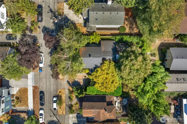 Aerial view of house, garden and 26th Ave NE.