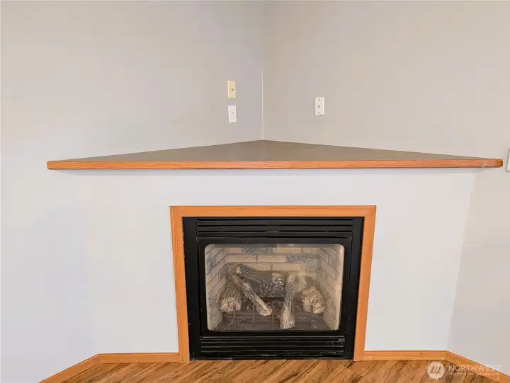 Propane Fireplace