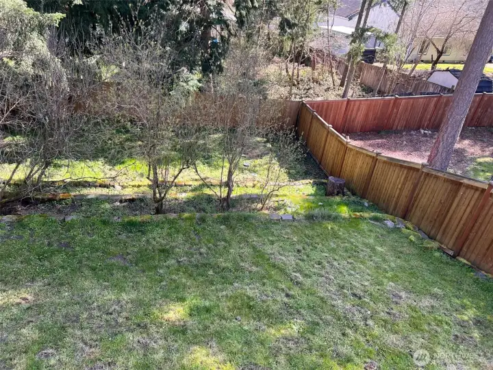 Rightmost side of back yard
