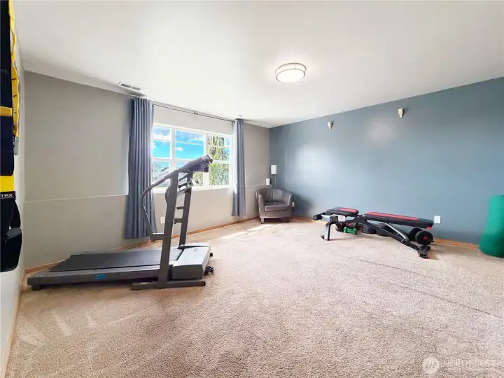 Lower level huge bonus area/flex room!