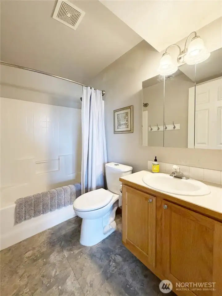Lower level full bath