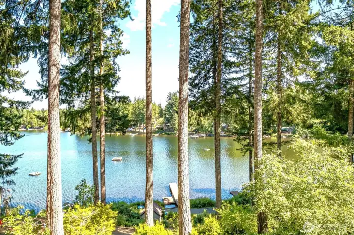 A  beautiful view from every window everyday!