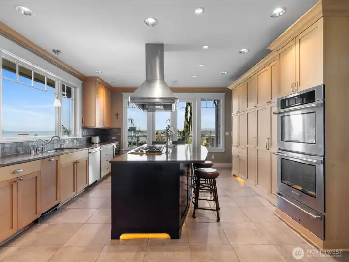 Chef's kitchen complete with custom cabinets, top of the line appliances and toe kick lighting