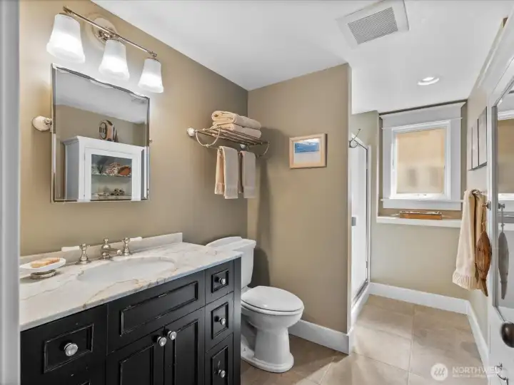 Lower level guest bathroom