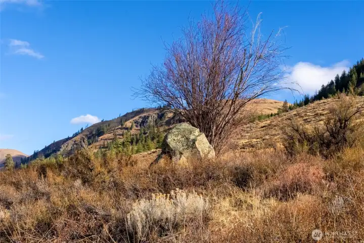 The sun-soaked landscape makes for good hiking year round.