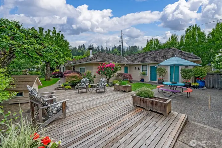 Back deck