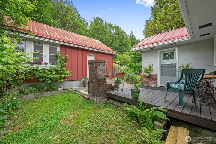 Sloping backyard with grapes, fruit trees, and a back deck