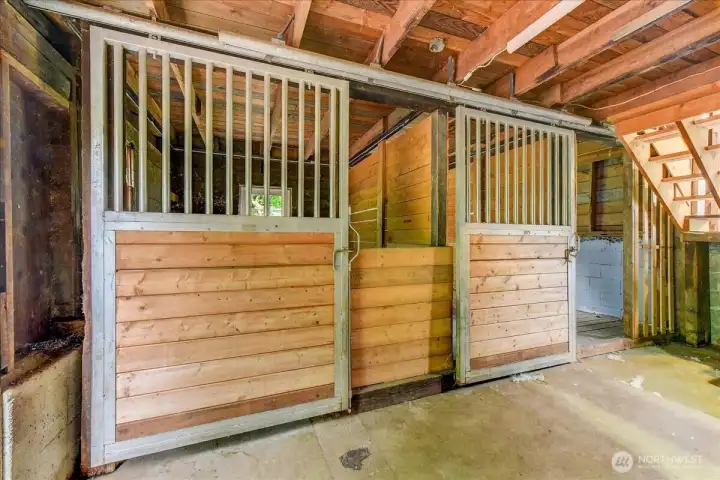 2 stalls for your 4 legged family members 2 stalls for your 4 legged family members