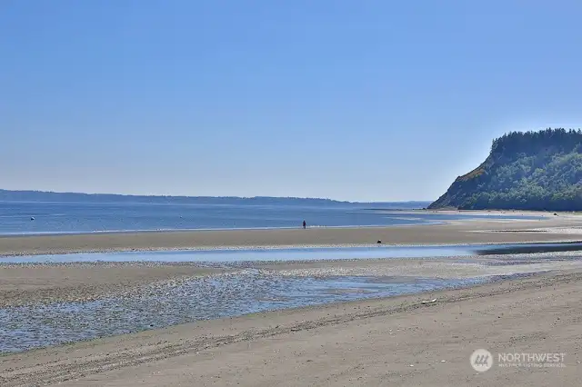 Community Beach