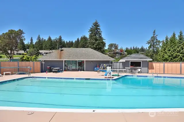 Useless Bay Pool