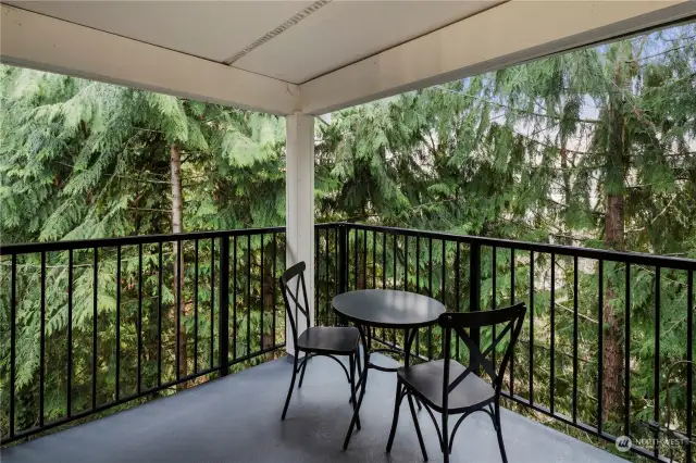 how amazing to relax in this balcony? there is also front deck by the entrance