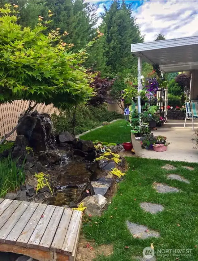 Summer picture of back yard