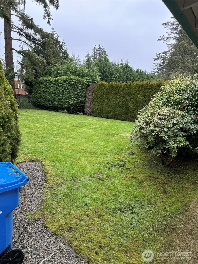 Private Back Yard.
