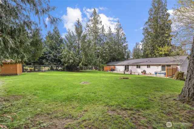 Fluffy would like this yard.
