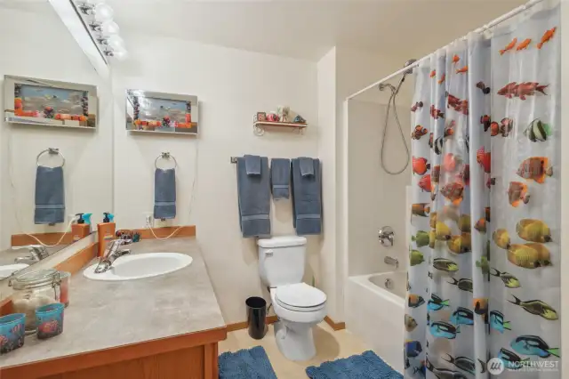 Main bathroom with tub/shower combo