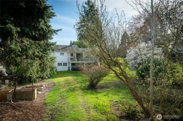 Backyard of 10126 Ne 187th St