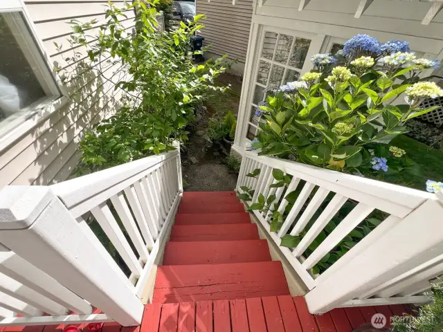 back deck stairs to potting shed and front of house
