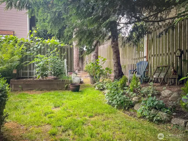 garden space